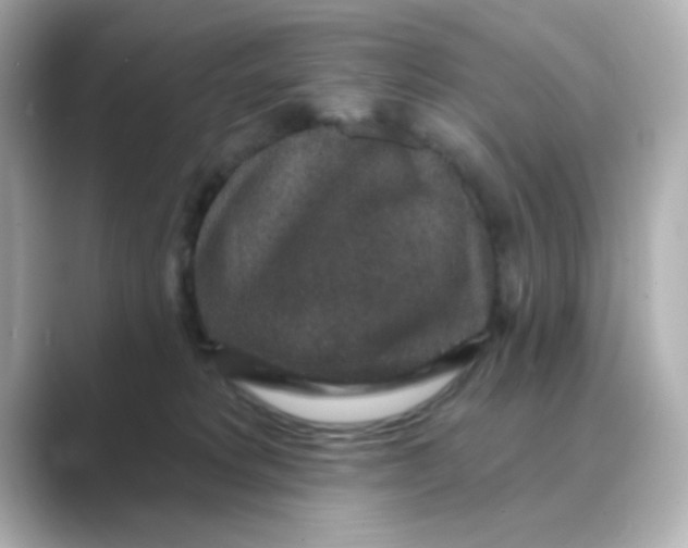 X0000088670229200706211857