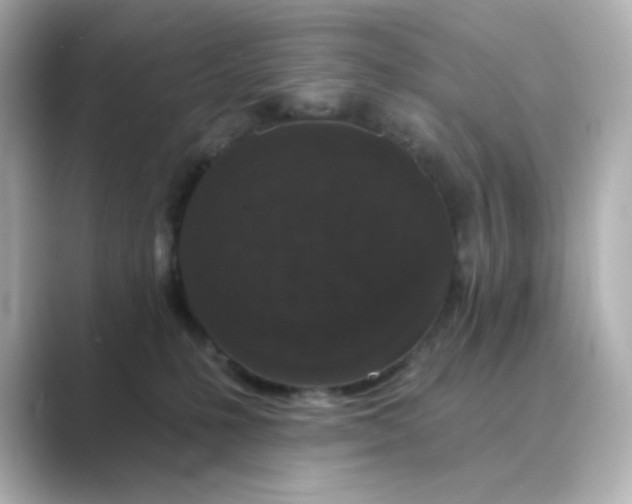 X0000088670231200706211857