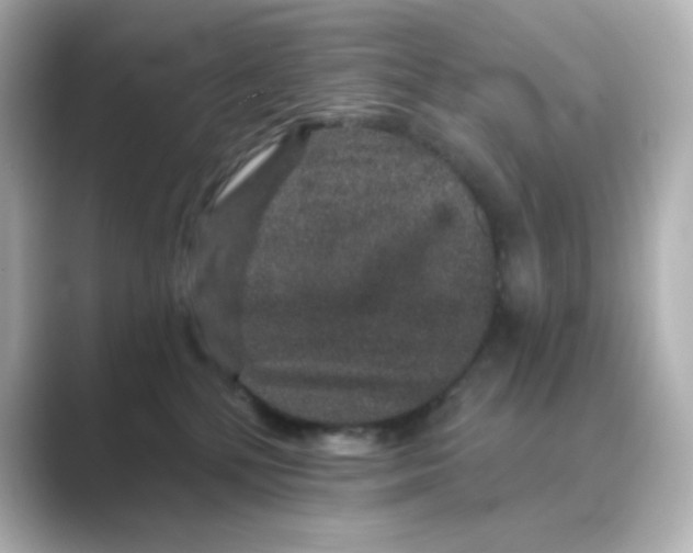 X0000088670232200706211857