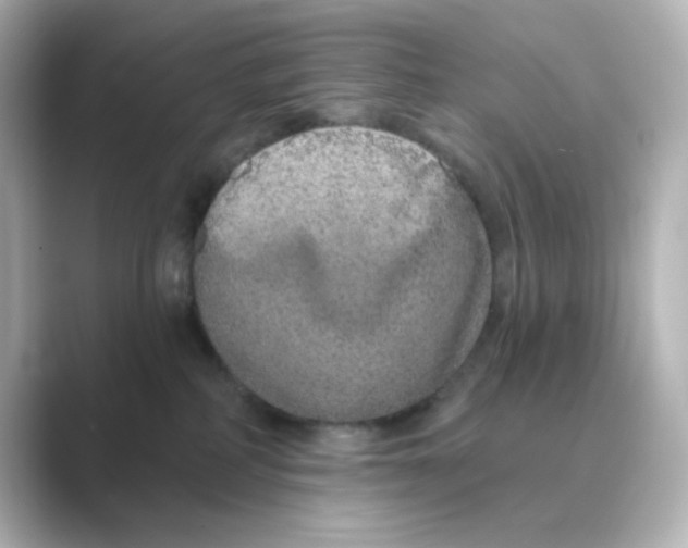 X0000088670234200706211856