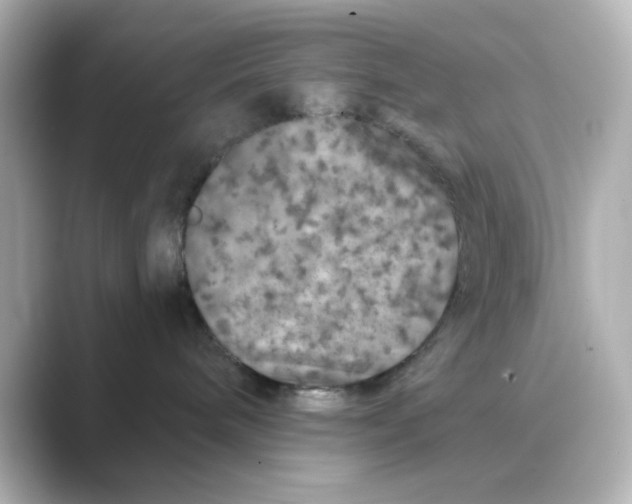 X0000088670240200706211856