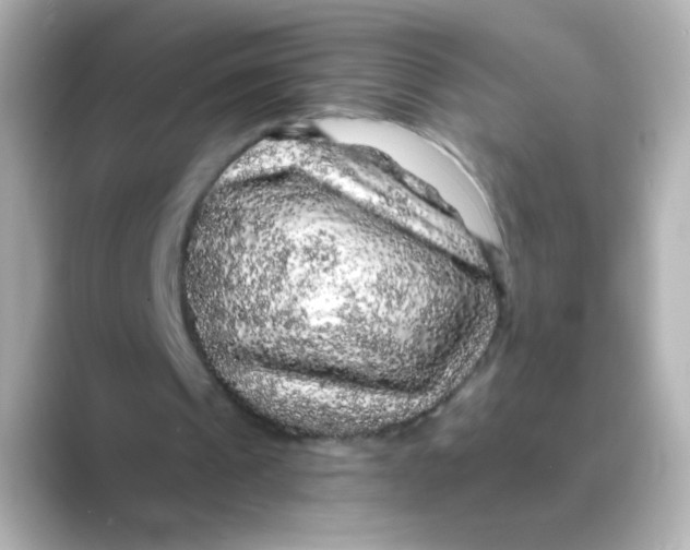 X0000088670241200706211856