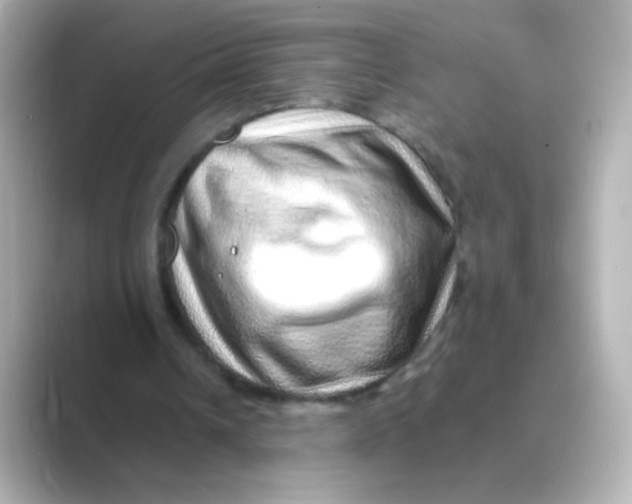 X0000088670242200706211856