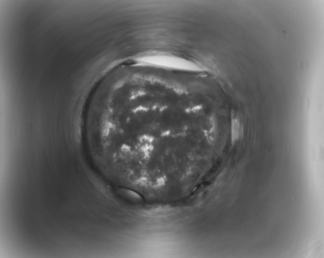 X0000088670243200706211856