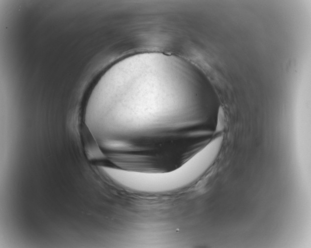 X0000088670244200706211856
