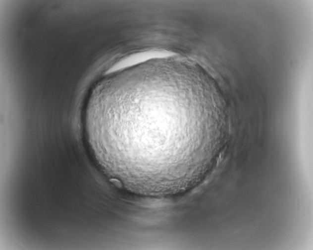 X0000088670245200706211856