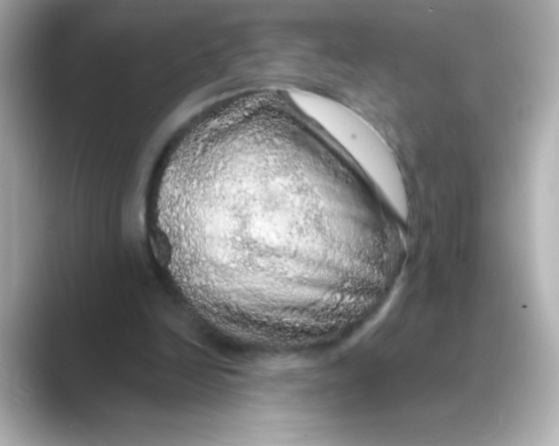 X0000088670246200706211856
