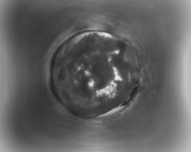 X0000088670247200706211856
