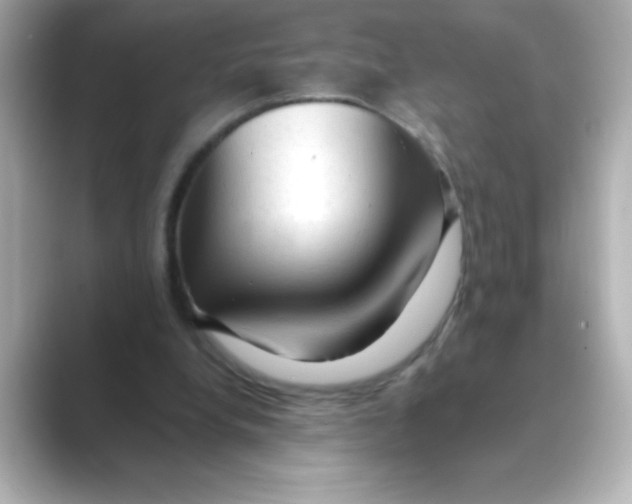 X0000088670248200706211856