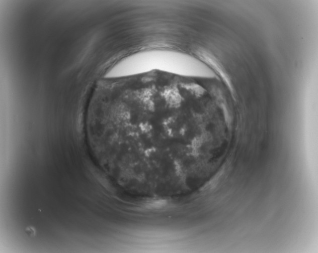 X0000088670249200706211856