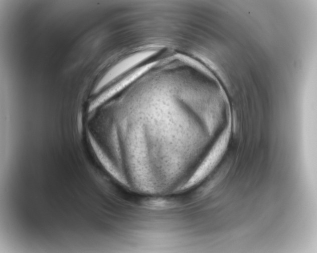 X0000088670253200706211856