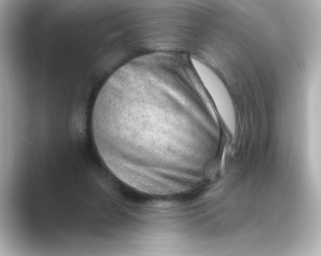 X0000088670255200706211856