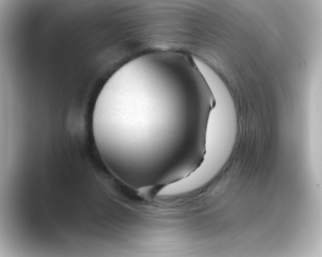 X0000088670256200706211856