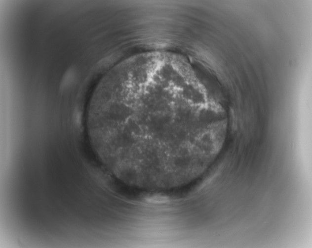 X0000088670258200706211856