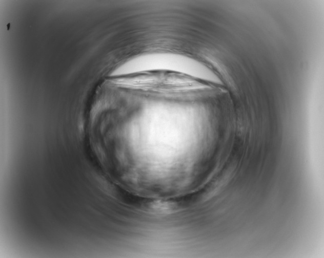X0000088670261200706211856