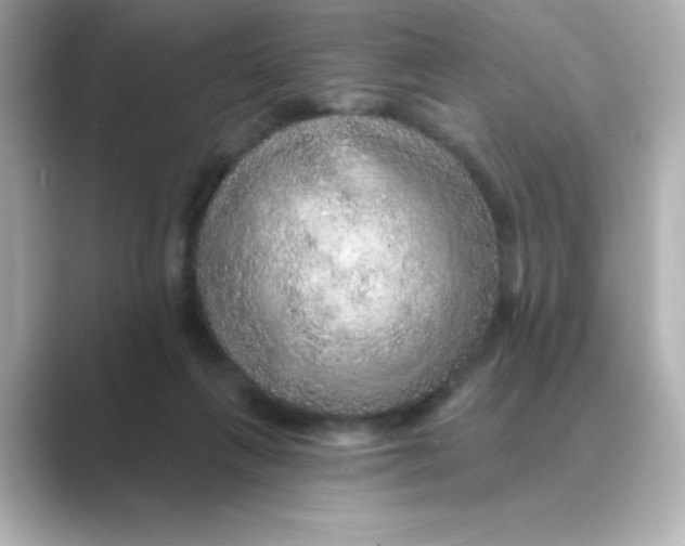 X0000088670263200706211856