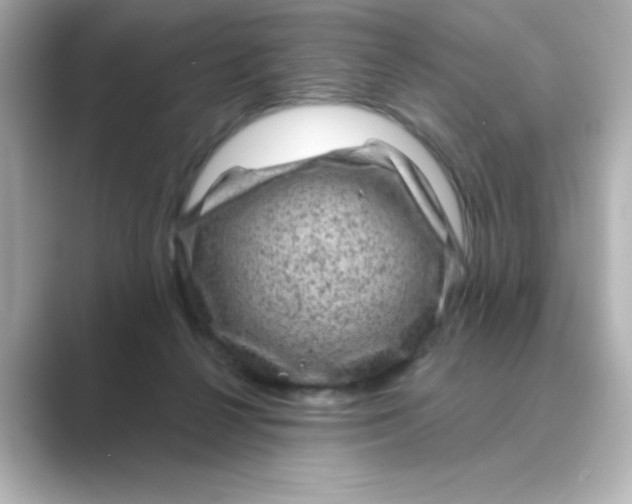 X0000088670264200706211856