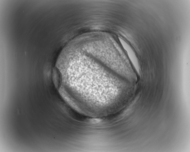 X0000088670265200706211856