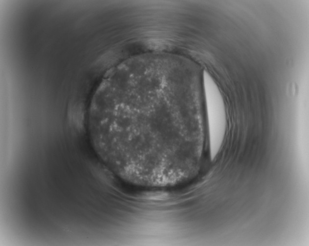 X0000088670266200706211856