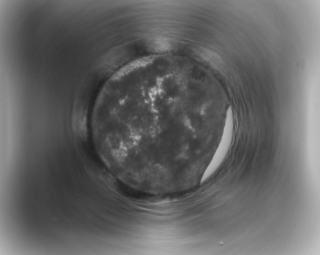 X0000088670267200706211856