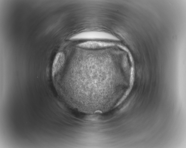 X0000088670269200706211856