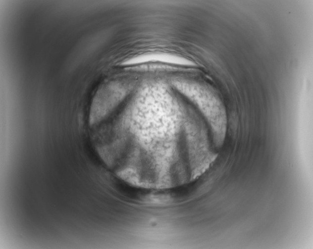 X0000088670270200706211856