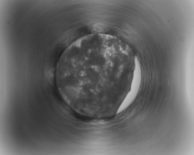 X0000088670271200706211856