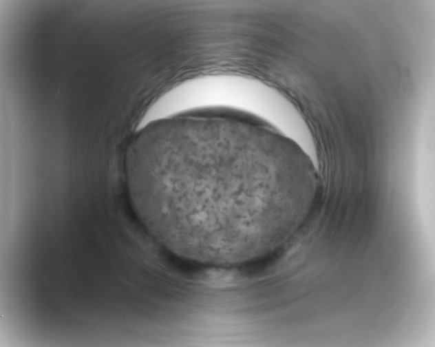 X0000088670272200706211856