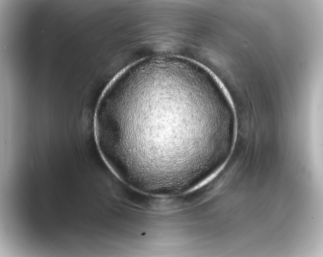 X0000088670273200706211856