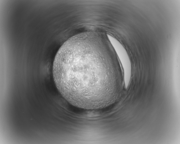 X0000088670275200706211856
