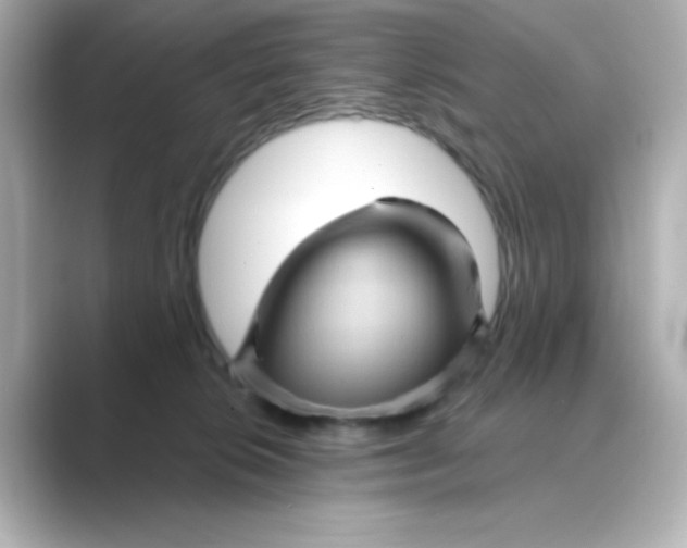 X0000088670276200706211856