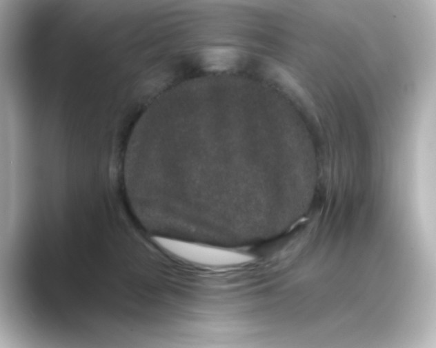 X0000088670277200706211856