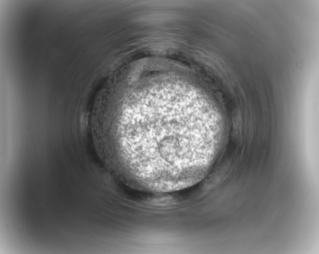 X0000088670278200706211856