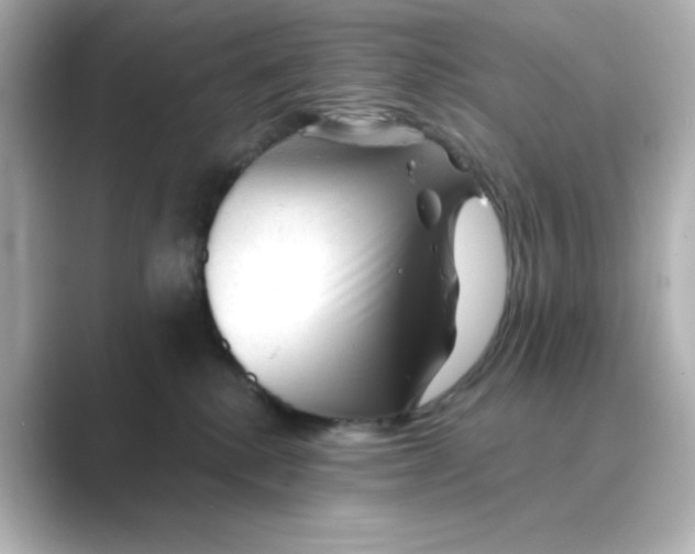 X0000088670280200706211856