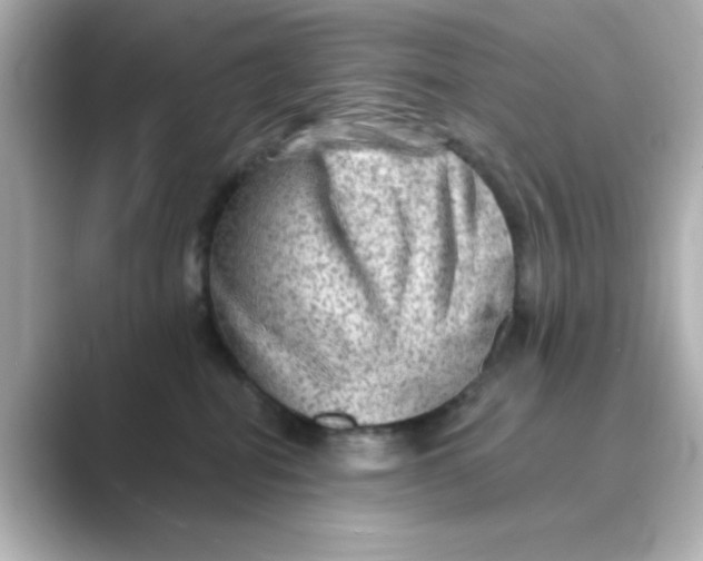 X0000088670282200706211856