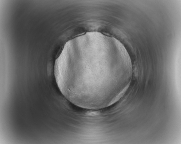 X0000088670283200706211856