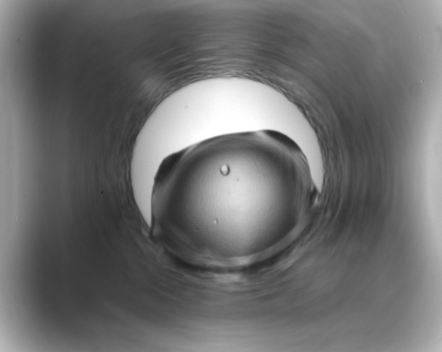 X0000088670284200706211856