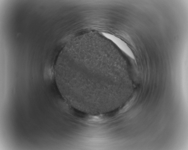 X0000088670285200706211856