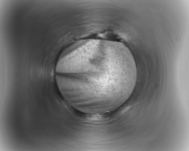 X0000088670288200706211856