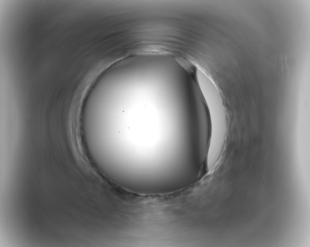 X0000088670289200706211856