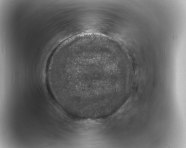 X0000088670290200706211856