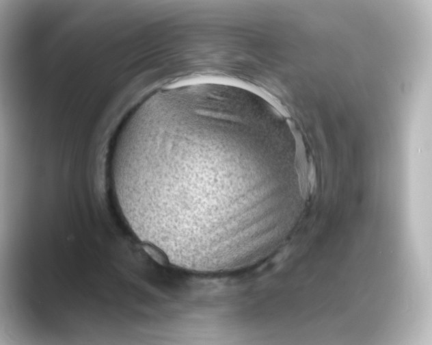 X0000088670291200706211856