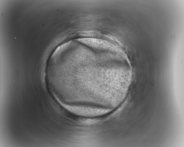 X0000088670293200706211856