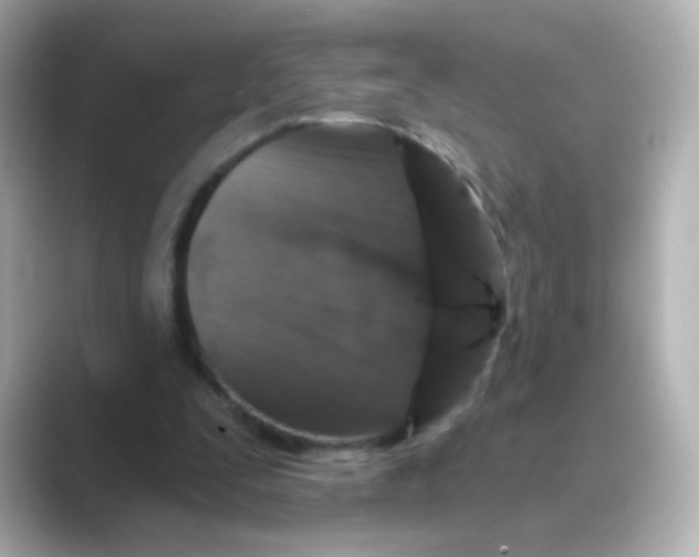 X0000088670295200706211856