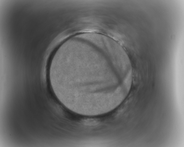 X0000088670296200706211856