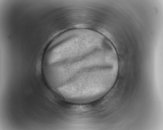 X0000088670297200706211856