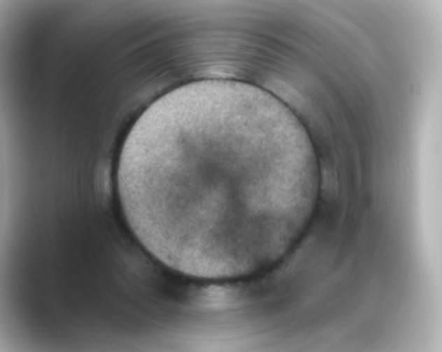 X0000088670302200706211856