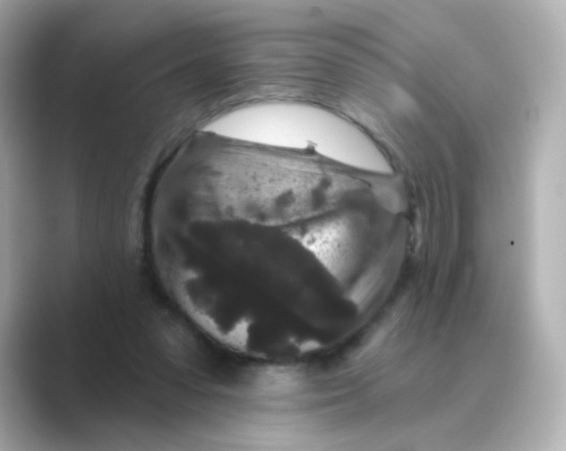 X0000088670303200706211856