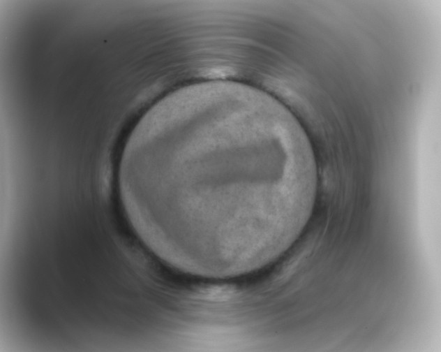 X0000088670304200706211856