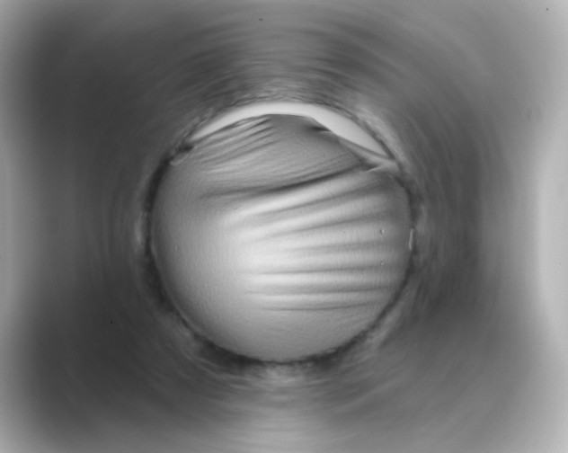 X0000088670305200706211856